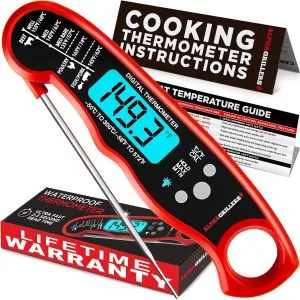 digital meat thermometer