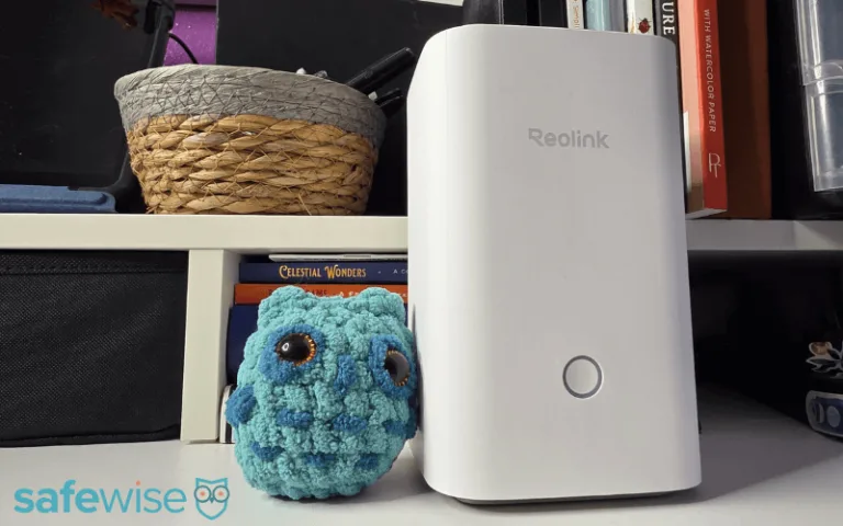 Reolink home hub