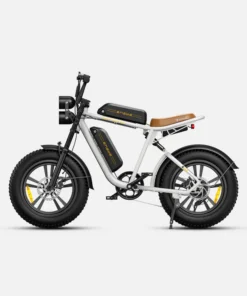 ENGWE Electric Bike