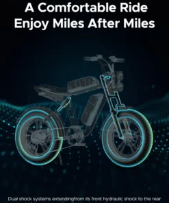 ENGWE Electric Bike