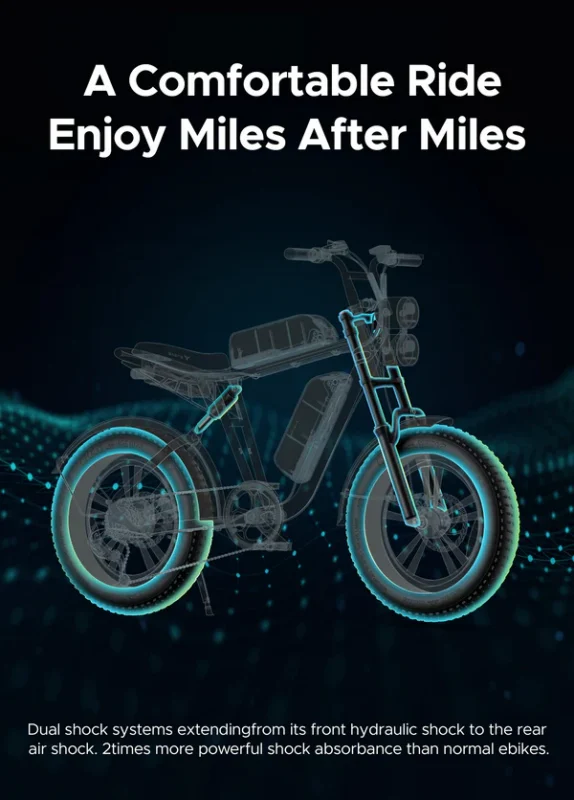 ENGWE Electric Bike