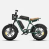 ENGWE Electric Bike