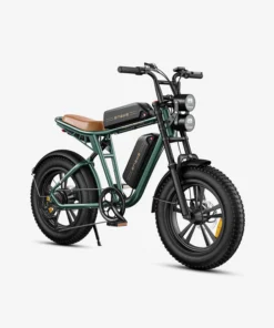 ENGWE Electric Bike