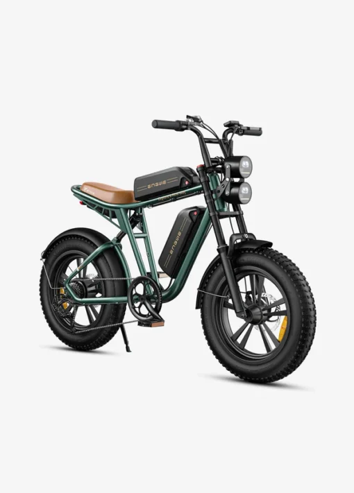 ENGWE Electric Bike