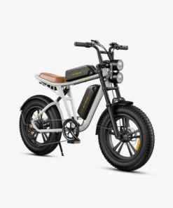 ENGWE Electric Bike