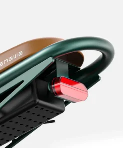 ENGWE Electric Bike