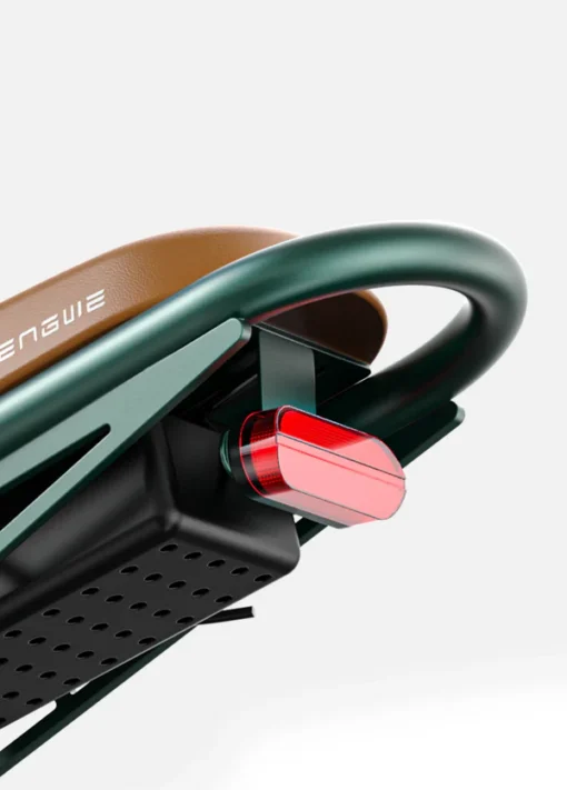 ENGWE Electric Bike