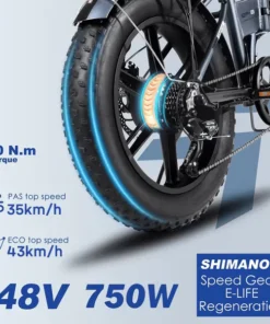 ENGWE Electric Bike