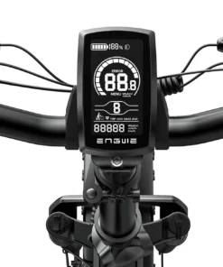 ENGWE Electric Bike