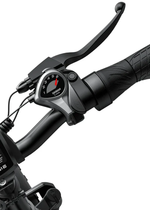 ENGWE Electric Bike