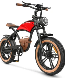 Hidoes Electric Bike
