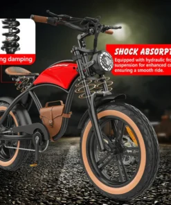 Hidoes Electric Bike
