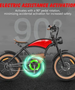 Hidoes Electric Bike