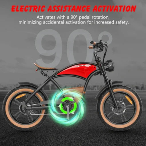 Hidoes Electric Bike