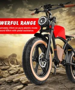 Hidoes Electric Bike