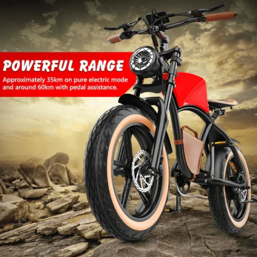 Hidoes Electric Bike