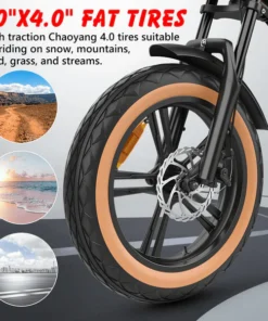 Hidoes Electric Bike