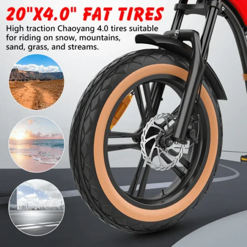 Hidoes Electric Bike