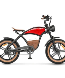Hidoes Electric Bike