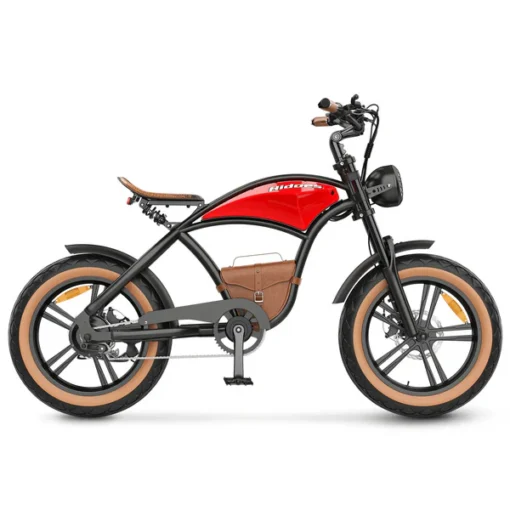 Hidoes Electric Bike