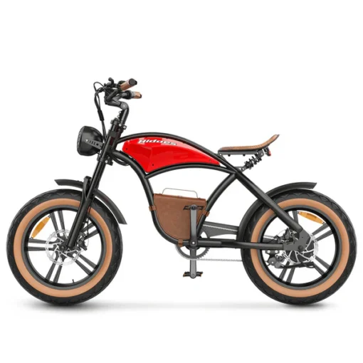 Hidoes Electric Bike